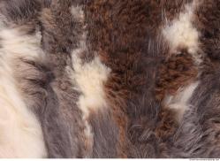 Fur